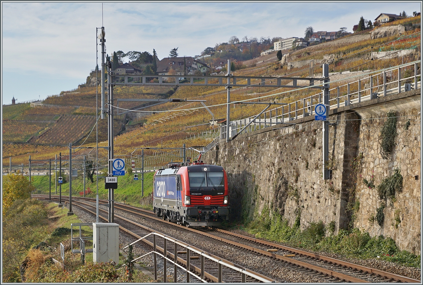 Die von SBB Cargo für acht Jahre angemietete 193 054 ist zwischen Rivaz und St Saphorin als Lokzug unterwegs. 

12. Nov. 2024

