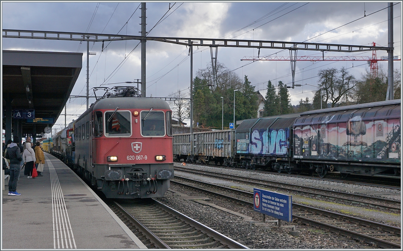 Die SBB Re 6/6 11667 (Re 620 067-9)  Bodio  fährt mit einem Güterzug durch den Bahnhof von Wohlen. Wohlen liegt im Freiamt an der Südbahn, einer wichtigen Zufahrtsstrecke für den Güterverkehr zum Gotthard.

6. Dez. 2024

