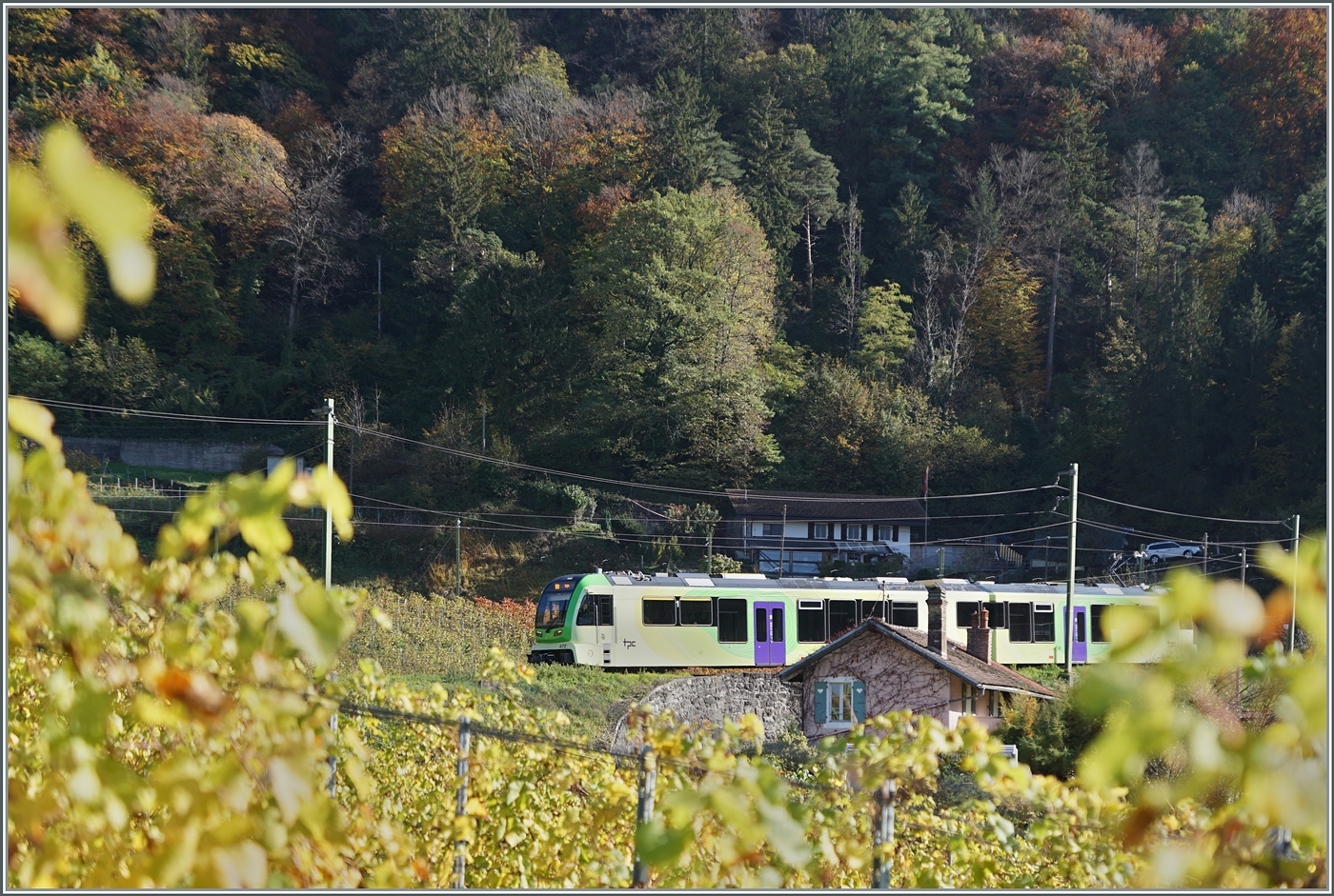 Die Strecke der ASD f�hrt in einigen weiten Schleifen zur Gewinnung an H�he gleich nach Aigle durch die Rebberge. Diese bietet nach der Lese der Trauben im Herbst herrliche Farben und einige Sujet f�r die Motivwahl, wobei bei diesem Bild hier die bunten Reben den ebenfalls bunten Zug schon fast verstecken...

2. Nov. 2024