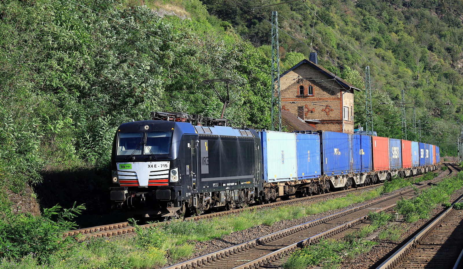 DISPO/bls cargo 193 715-0 mit Containerzug. Kaub am Rhein 14.09.2023