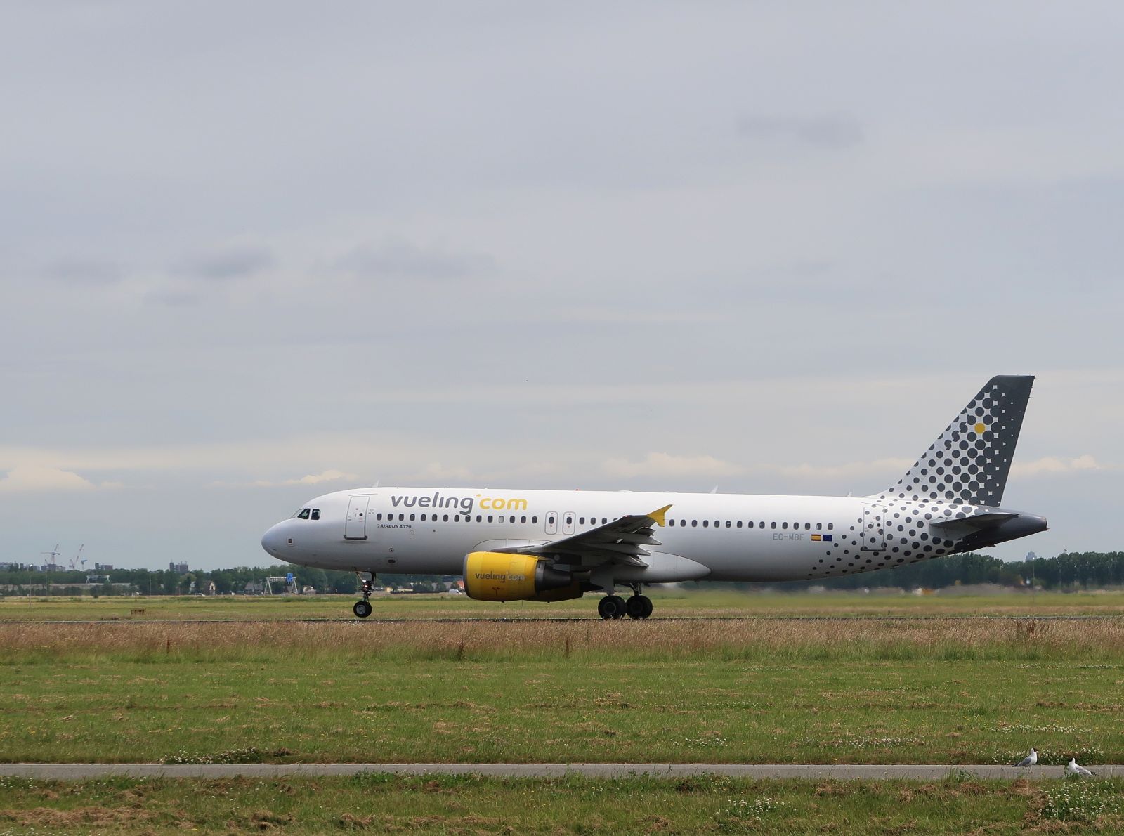 EC-MBF Vueling Airbus A320-214 Erstflug dieses Flugzeugs war am 24-04-2008. Flughafen Amsterdam Schiphol, Niederlande. Vijfhuizen 30-06-2024.

EC-MBF Vueling Airbus A320-214 eerste vlucht van dit vliegtuig was op 24-04-2008. Polderbaan luchthaven Schiphol. Vijfhuizen 30-06-2024.