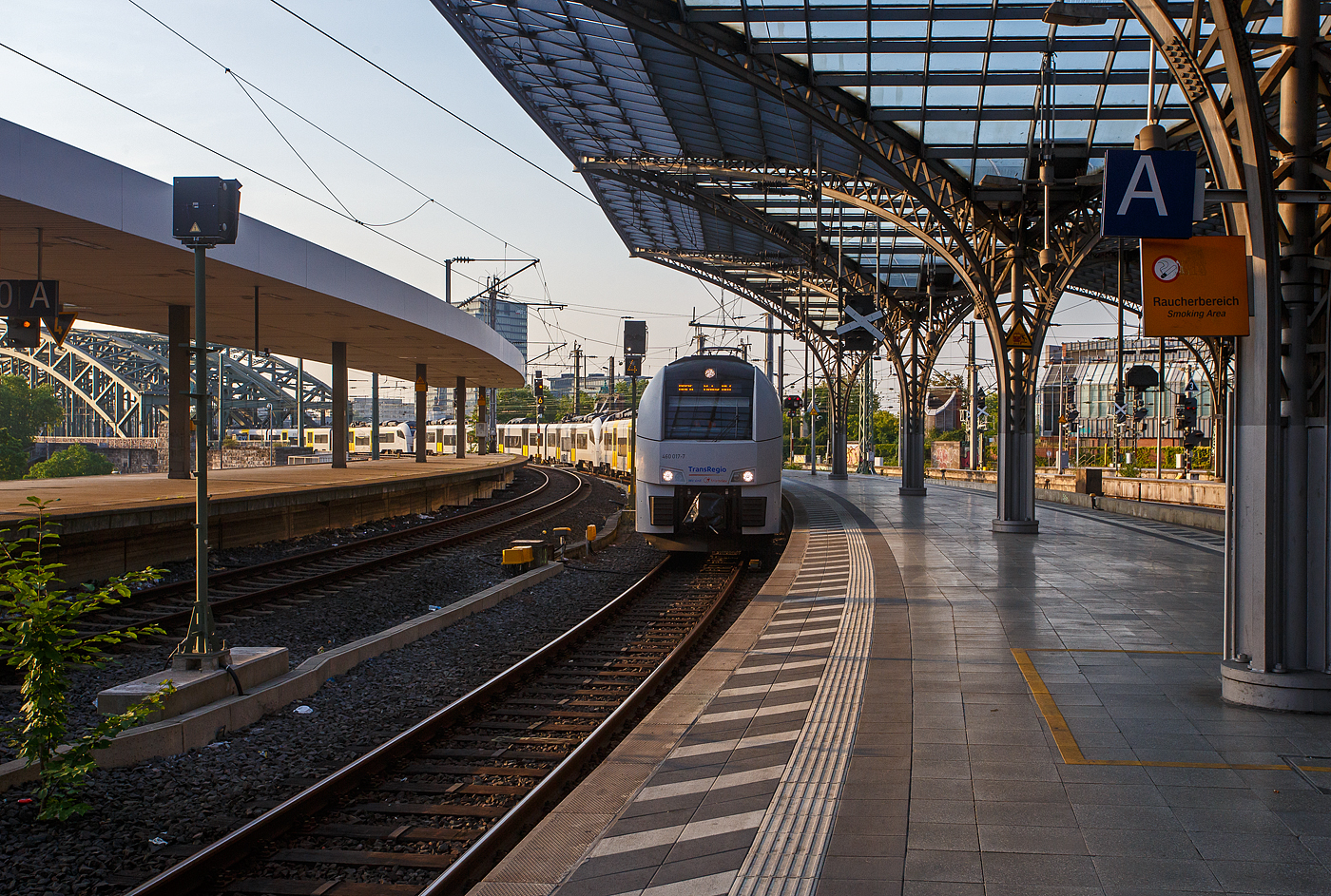 Ein Bild für Stefan mit gleich drei „Borkenkäfer“, geführt von dem 460 017-7 / 860 017 / 460 517 fahren drei gekuppelte Siemens Desiro ML Triebzüge der TDR - Trans Regio Deutsche Regionalbahn GmbH (zur Transdev-Gruppe gehörend) am frühen Morgen des 18 Juni 2025, als MRB 26  MittelrheinBahn  (Köln Messe/Deutz – Köln Hbf - Koblenz Hbf - Mainz Hbf), in den Hauptbahnhof Köln ein. 

Nochmals einen lieben Gruß an den netten Tf zurück.

Die Baureihe 460 ist ein elektrischer Triebzug des Typs Desiro Mainline aus dem von Siemens Rail Systems entwickelten Fahrzeugkonzept Desiro. Alpha Trains ist Eigentümer von 17 dreiteiligen Einheiten, die von Trans Regio (TDR) für ihr Verkehrsangebot MittelrheinBahn auf der linken Rheinstrecke eingesetzt werden.

Die Baureihe 460, als erste Version eines Desiro Mainline, ist durch ihre modulare Bauweise auf die netzspezifischen Bedürfnisse im Regionalverkehr angepasst worden. Zu dieser Fahrzeugfamilie gehören auch u.a. die  NMBS/SNCB-Reihe AM 08, ÖBB Reihe 4744, 4746 und 4748, sowie ÖDEG BR 4746. 

Die Endwagen sind im deutschen Fahrzeugeinstellungsregister als BR 0460, die Mittelwagen als BR 0860, geführt. Die an die Bahnsteighöhe angepasste Fußbodenhöhe des Fahrzeuges beträgt überwiegend 800 Millimeter über Schienenoberkante. Die Fahrzeuge besitzen barrierefreie Einstiege mit einer Breite von 1,3 Metern, wobei der größere Teil der Sitzplätze stufenlos erreichbar ist. Die Triebfahrzeuge verkehren als Regionalbahn auf der Mittelrheinbahn.

Die konventionellen Drehgestelle des Typs SF6500 stammen aus dem Siemens-Werk in Graz. Sie besitzen unter anderem bewährte Schwingenführungen, Schraubenfedern und eine sekundäre Luftfederung und sind damit eine direkte Weiterentwicklung der Drehgestelle des Typs SF6000, die im Sprinter Lighttrain zum Einsatz kommen.
