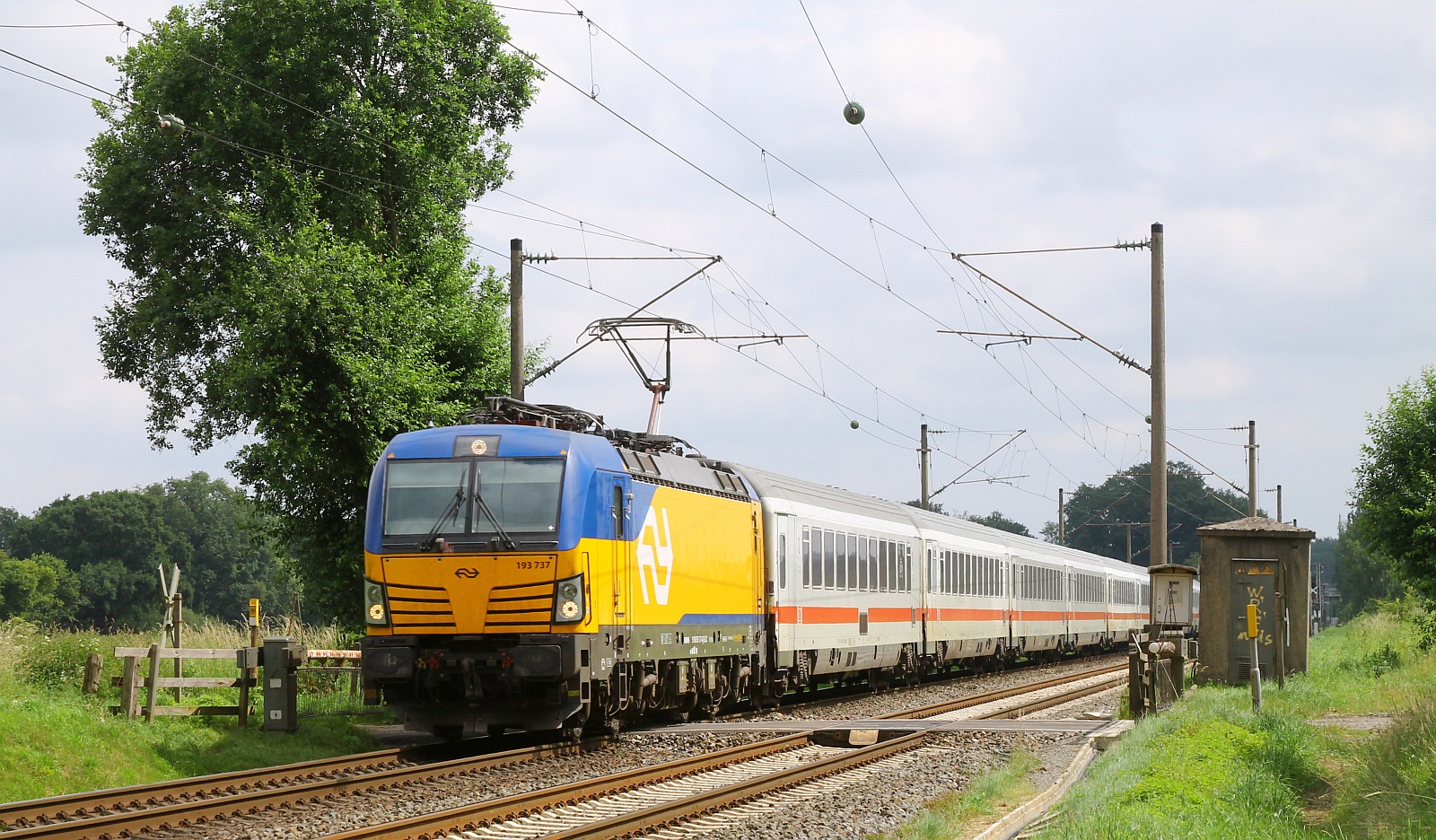 ELOC/NS 193 737-4 mit IC 148 Berlin-Amsterdam am Bü Lotte, 05.06.2024