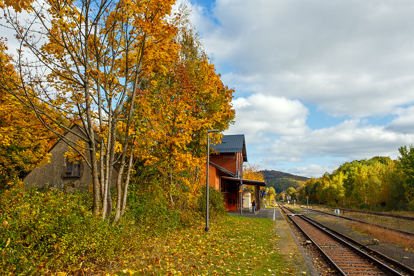 Es ist Herbst, auch beim Bahnhof Herdorf, hier am 14 Oktober 2025 in Blickrichtung Neunkirchen/Siegerland. 

Der Bahnhof Herdorf liegt an km 90,1 der „Hellertalbahn“ KBS 462.

Herdorf war eines der Zentren des Bergbaus im Siegerland mit den meisten Bergwerken auf einem Ortsgebiet des Siegerlandes. Bis 1965 wurden in 100 Jahren ca. 60 Millionen Tonnen Eisenerz in den Herdorfer Gruben gefördert. Dutzende von Bergwerken haben die Kultur und Industrie der Region stark beeinflusst. Neben den Gruben gab es in Herdorf die Friedrichshütte, eine bedeutende Hüttenanlage, deren Hauptgebäude, das sogenannte Hüttenhaus, noch steht und einen Kultursaal und Restaurants beherbergt.

So war der Bahnhof Herdorf im Güterverkehr einst, mit über 30 Gleisen der Staatsbahn, ein sehr großer Bahnhof. Durch die Verladung von Eisenerz gehörte nach den Tonnagen geurteilt, zu einem der größten in Europa. Zudem gab ein noch den Anschluss an die Freien Grunder Eisenbahn AG mit der Bahnstrecke Herdorf–Unterwilden, heute noch vorhanden und betrieben durch die Kreisbahn Siegen-Wittgenstein. Dieser ist in Blickrichtung hinten bei der Brücke. 

Außerdem gab es noch die Anschlüsse an die Friedrichshütte mit ihren Hochöfen und der Hochbahn, sowie an die Eiserfelder Steinwerke AG mit der Verladeanlage der Bremsbahn von Basalt auf Bahnwagen. Zudem war hier beim Bahnhof (rechts vom Bild) noch eine Verladebrücke der schmalspur Grubenbahn ins Sottersbachtal (im Herdorfer Volksmund  Bähnchens  genannt), von dieser wurde geröstetes Eisenerz, sowie später auch Basalt und Split, auf normalspurige Bahnwagen verladen wurde. Die 2,5 km lange Grubenbahn erledigte auch den gesamten Materialtransport zu den Gruben (Friedrich Wilhelm, Einigkeit, Zufälligglück, San Fernando und Mahlscheidt). 