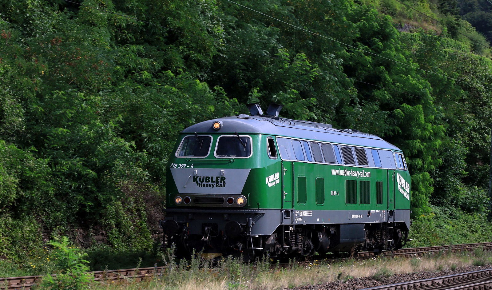 Kübler Heavy Rail 218 399-4 REV/ELBA/23.04.19 dieselt hier gemütlich durch Kaub. 05.08.2024