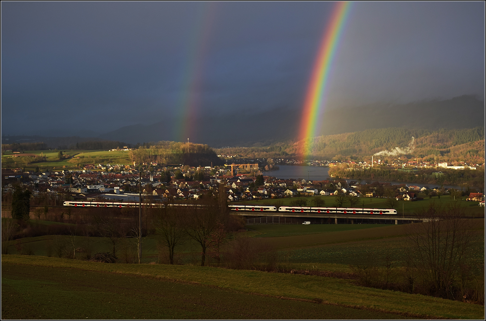 Schechtwetter in Mumpf. 

Hier gibt's Saures - pardon Buntes für eine Dreifachtraktion Flirt aus RABe 521, RABe 523 und RABe 521. Mumpf, Januar 2026.