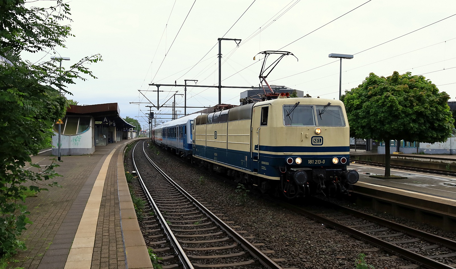 SEL 181 213-0 mit dem Sonderzug D 26785 nach Binz wartet im bhf Neumünster auf Ausfahrt. NMS 29.07.2023