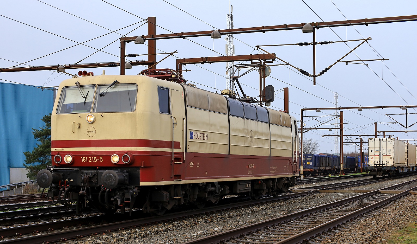 SEL 181 215-5  Holstein  rangiert hier an ihren Northrail KLV. Pattburg/DK 15.12.2023