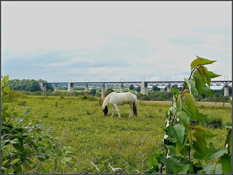 Brckenimpressionen in Moresnet. 12.07.08 (Hans)