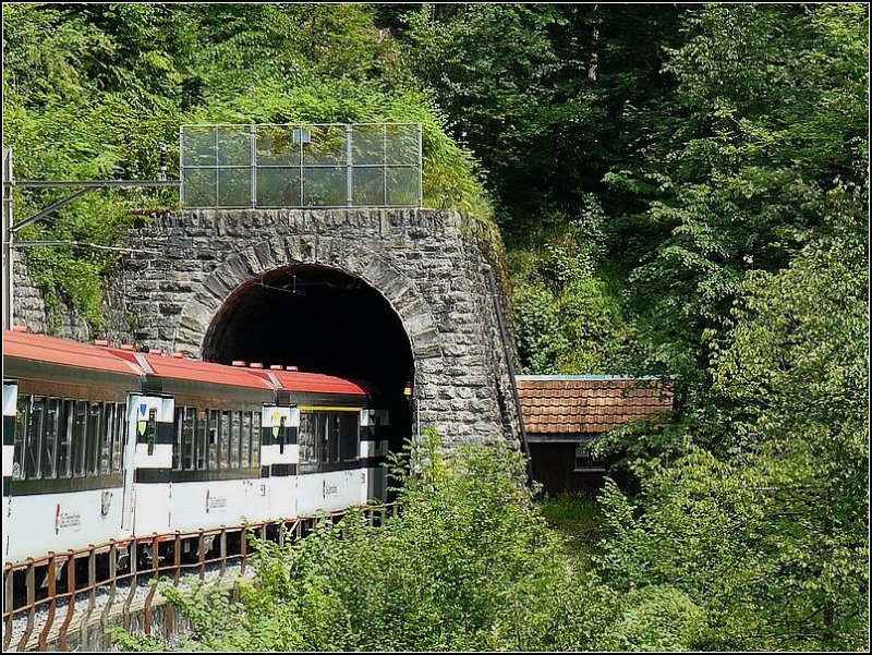 Ein ZB Zug verschwindet im Tunnel. 30.07.08 (Hans)