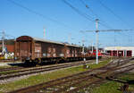 Zwei zweiachsige gro�r�umige ex �BB Schiebewandwagen der Gattung Hbis, rechts 21 81 2254 150-9 A-StH (STH 2) und links 21 81 2254 316-6 A-StH (STH 3), der Stern & Hafferl Verkehrsgesellschaft m.b.H.