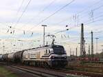 Retrack Stadler Eurodual Lokomotive 159 221-1 (90 80 2159 221-1 D-ELP) Gterbahnhof Oberhausen West 18-10-2024.

Retrack Stadler Eurodual locomotief 159 221-1 (90 80 2159 221-1 D-ELP) goederenstation Oberhausen West 18-10-2024.