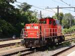 DB Cargo Diesellokomotive 6442  William  Bahnhof Dordrecht 25-06-2024.