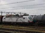 TX Logistik Lokomotive 193 315-7 (91 80 7193 315-7 D-TXL)  Connected To Nature  Bahnhof Venlo 24-07-2025.