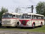 Ikarus 66 und IFA H6B der Rostocker Nahverkehrsfeunde/Rostocker Stra�enbahn AG in Rostock.