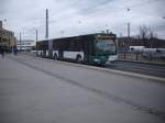 Mercedes Citaro II der ViP in Potsdam.