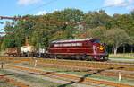 Die neue DSB Museumslok MY 1135 rangiert die sonst im Pattburger Gterschuppen hinterstellten DSB Gterwagen, Pattburg 9.10.2022