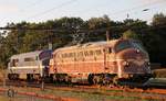 SRP/NEG Litra MY 1148 und die Contec Litra MX 1008 zu Besuch im dänischen Pattburg am 31.07.2017