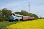 Um 14.50 Uhr machte sich der Veterantog in Tondern auf die Rückfahrt nach Odense, hier ca 8 km nördlich von Tondern am Bü Østerbyvej, 14.05.2022 