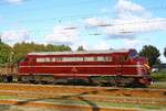 DSB MY 1135 (NoHAB 2376/1957) wurde nach ihrer Verwendung als blaue Meßzuglok dem Eisenbahnmuseum Odense zugeteilt und ist numehr in ihrem farblichen Ursprungszustand weinrot mit Krone unterwegs,