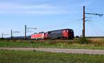 neg MZ 1439 als Zuglok der EG 3106 und einem Gz festgehalten in Fårhus bei Padborg.