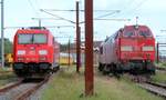 DBCSC 185 336 und MZ 1457 Padborg 06.07.2020