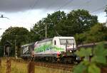 DBCSC 185 326 + 185 325 (Klimaheld mit Rückgrat) kurz vor dem Einfahrtsignal von Pattburg/Padborg,  Harrislee Grenze 14.09.2022