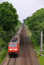 DBS/RSC EG 3108 auf dem Weg nach Dänemark passiert hier die Brücke in Schleswig-Schuby.