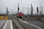 Wenn man am Ende des Bahnsteigs eine E 10 entdeckt, läuft man natürlich hin.