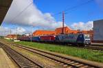 Auf den Gtergleisen auf der Ostseite des Bahnhofs Frankfurt (Oder), waren am 17.10.2020 diese sechs Lokomotiven abgestellt.