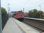 155 028 durchfhrt am 9.10.13 den Bahnhof Erkner in Richtung Westen.