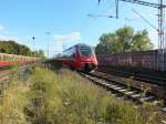 442 127 und 442 328 erreichen am 2.10.13 Berlin-Karlshorst, wo mittlerweile eine regelrechte Nagetierplage ausgebrochen ist.