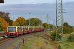 Der S-Bahn-Haltepunkt Wamannsdorf ist eine Art Kollateralschaden der verspteten Inbetriebnahme des Flughafens BER.