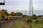 Bis unmittelbar vor den Haltepunkt Wamannsdorf verluft die S-Bahn-Anbindung des Flughafens BER parallel zum Berliner Auenring, dessen Gleise im Hintergrund zu sehen sind. Auf der Fahrt zum unterirdischen Flughafenbahnhof rollen die Einheiten 484 003 und 483 003 am 19.10.2021 in Wamannsdorf an den Bahnsteig.