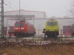 185 189-8 und die Alpha Trans 119 009-8,am 24.Januar 2016,im Bh Rostock Seehafen.