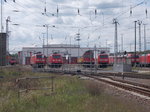 Das Lokparadies Seddin vor den Toren Berlin`s am 16.Mai 2016.