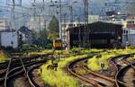 Kurzer Lichtblick....im Hintergrund DB 746 034...Koblenz Hbf 11.09.2023