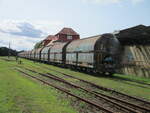 Abgestellte Talns am Hausbahnsteig,am 21.August 2021,in Neustrelitz Süd.