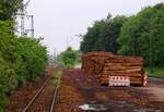 Es ist wieder angerichtet...der nächste Holzzug kommt bestimmt...erneut liegen mehrere Festmeter Holz an der Ladestrasse in Jübek bereit verladen zu werden.