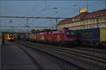 Ade Dieselloch - Nach 113 Jahren...

612 125 brachte mich nach Singen und macht sich hier bereit f�r seine allerletzte Fahrt nach Basel. Daneben stehen drei Loks f�r die Nachtz�ge aus Z�rich bereit. �BB 1016 025, �BB 1116 164 und der ELL-NS Vectron 193 956 f�r den 'schlafenden Holl�nder'. April 2026.