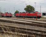 DB-Regio Lok´s abgestellt im BW Rostock Hbf.31.08.2012