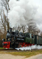 Die Jung Schmalspur Dampflok 20  Haspe  der Selfkantbahn bzw. Interessengemeinschaft Historischer Schienenverkehr e. V. (IHS) zieht ihren Personenzug am 31 M�rz 2013 bei Birgden in Richtung Gillrath. 

Fahrzeuggeschichte:
Die Dampf-Tenderlokomotive wurde 1956 von der Arnold Jung Lokomotivfabrik GmbH, Jungenthal bei Kirchen an der Sieg unter der Fabriknummer 12783 und an die 900 mm-Werksbahn der Kl�ckner-H�tte in Hagen-Haspe. Im Zuge der Stillegung der Hasper H�tte kaufte die IHS 1972 auch die 20 und 21 und lies diese in der Werkstatt der DVG (Duisburger Verkehrsgesellschaft AG) auf 1.000 mm umspuren. 1980 Taufe auf den Namen „Haspe“.

Neben den schmalspurigen Kleinbahnen gab es eine gro�e Anzahl schmalspuriger Werks- und Industriebahnen. F�r diese Betriebe entwickelten einige Lokomotivfabriken nach dem Baukastensystem Typenreihen f�r Lokomotiven verschiedener Spurweiten und Leistungsklassen. Die Lokomotivfabrik Jung in Jungenthal/Sieg besa� ein solches Programm schon in den Zwanzigerjahren. Diese Maschinen der  Standardkollektion  vom Typ 200 PS konnten nach Katalog bestellt werden. W�hrend des 2. Weltkrieges durften nur noch Lokomotiven eines Standardprogramms, die Kriegsdampflokomotiven (KDL), von Lokomotivfabriken im deutschen Machtbereich hergestellt werden.

Aus dem Typ KDL 10 dieses Programms abgeleitet, lieferte Jung 1956 drei Maschinen an die 900 mm-Werksbahn der Kl�ckner-H�tte in Hagen-Haspe. Die robuste Bauart der Dampflokomotiven 19, 20 und 21 bew�hrte sich auch im harten Betriebseinsatz bei der Hasper H�tte. Im Fr�hjahr 1970 entschloss sich die IHS, die gerade abgestellte Lok 19 zu erwerben. Nach dem Umbau auf eine Spurweite von 1.000 mm wurde die Lok ab dem 10. Juli 1971 auf der Selfkantbahn eingesetzt.

Im Zuge der Stillegung der Hasper H�tte 1972 kaufte die IHS auch noch die beiden freiwerdenden Schwestermaschinen 20 und 21. Ihre Namen erhielten die Lokomotiven erst bei der Selfkantbahn, 1980 wurde die Lok 20 auf den Namen  Haspe , 1986 die Lok 21 auf den Namen  Hagen  getauft. Die politische Wende in der DDR im Jahre 1989 machte es dann m�glich, da� die Lok 20 im Jahre 1991 als eine der ersten Museumsdampflokomotiven in der Werkst�tte des ehemaligen VEB Mansfeld-Kombinats Wilhelm Pieck des Mansfelder Bergbaureviers eine gro�e Revision erhielt. Die Lok 19 ist seit 1977 abgestellt, die Lok 21 befindet sich seit langer Zeit in Aufarbeitung.

Konstruktive Merkmale:
Die Lokomotiven haben einen Wassertank im Rahmen und Kohlenk�sten vor dem F�hrerhaus. Sie haben Heusinger-Steuerung und Kolbenschieber. Der Antrieb erfolgt auf die zweite Achse. Die Druckluftbremse und die Beleuchtungsanlage wurden erst f�r die Selfkantbahn eingebaut. Urspr�nglich war ein Pufferb�gel und ein dar�ber angeordneter Kupplungshaken vorhanden, bei der Selfkantbahn erhielten die Lokomotiven eine Balancierhebel-Kupplung „Sylter Bauart“, diese
wurden ab 1976 „Standard-Kupplung“ der Selfkantbahn.

TECHNISCHE DATEN:
Baujahr: 1956
Hersteller: Arnold Jung Lokomotivfabrik GmbH, Jungenthal bei Kirchen a. d. Sieg
Fabriknummer: 12783
Kessel-Nr. seit Dez. 12784 von Lok 21 (zuvor 12783)
Spurweite: 1.000 mm (ehemals 900 mm)
Achsanordnung: Bn2t
Typ: 200 PS, abgeleitet von KDL 10
L�nge �ber Puffer: 7.200 mm
Breite 2.300 mm
H�he: 3.200 mm
Achsabstand: 1.800 mm
Raddurchmesser: 800 mm (neu)
Gewicht der Lok: 22,0 t
H�chstgeschwindigkeit: 30 km/h
Zugkraft: 58 kN
Leistung: 200 PS
Zylinderanzahl: 2 (� 350 mm x 400 mm Hub)
Rostfl�che: 1,00 m�
Heizfl�che: 52,5 m�, 126 Heizrohre 44,5 x 2,5
Kesseldruck: 13 bar
Kohlevorrat: 0,3 t
Wasservorrat (im Rahmen): 1,6 m�
Bremse: K-PmZ (urspr. Dampf) / Wurfhebel, Bremsgewicht 7 t
Kupplung: Sylter Puffe