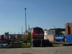 218 366-3 abgestellt am 07.07.10 im BW Rostock Hbf.