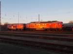 225 021-5 und 232 534-8 in der letzten Sonne,am 16.Februar 2016,in Mukran.