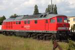 Auf der Rcktour von Neustrelitz nach Rostock gab es in Waren(Mritz) noch 232 568-6.Aufgenommen am 17.06.2011