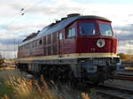 Bei der LEG 132 109,mußte ich,am 27.Oktober 2018,in Angermünde schon einen längeren Fussmarsch vom Bahnhof zum Abstellplatz einlegen.Am Ende hatten sich die Strapazen und die Blase am