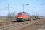 233 314-4 mit Containerzug in Saarmund.