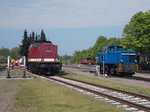 Sogar die 251 901-5 ließ sich,am 19.Mai 2016,in Putbus zusammen mit der 112 703-4 fotografieren.