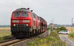 218 344-0 und 380-4 passieren hier den Bü Lehnshallig und dieseln mit dem AZS Richtung Westerland.