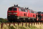 218 379-6 und 363-0 mit einem SyltShuttle aufgenommen am Dreieckskoog bei Klanxbüll an der KBS 130.